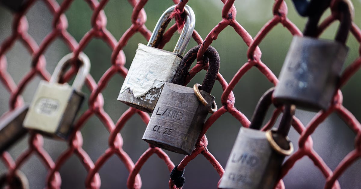 芝麻开门实名账号：什么平台上购买车险便宜点