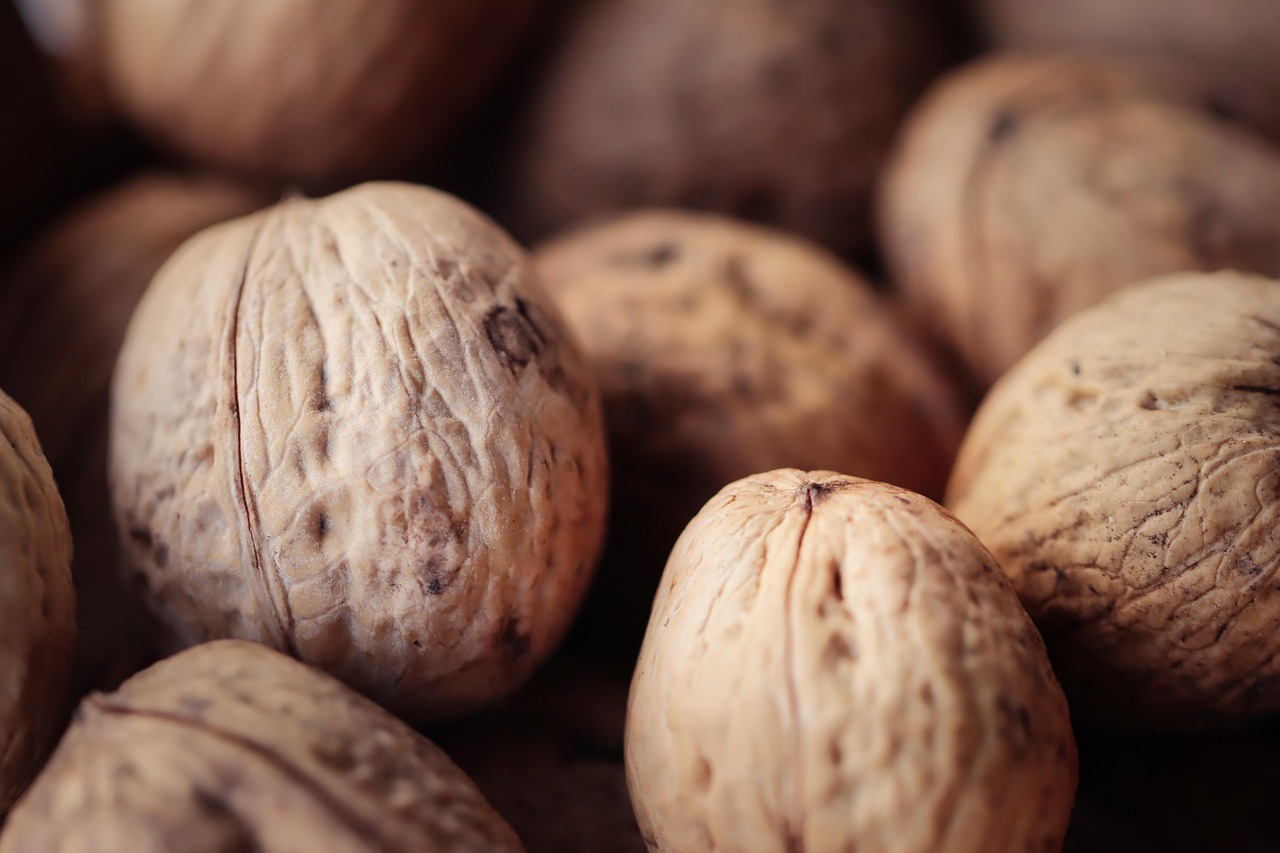 vx号出售：小说代理平台哪家好用