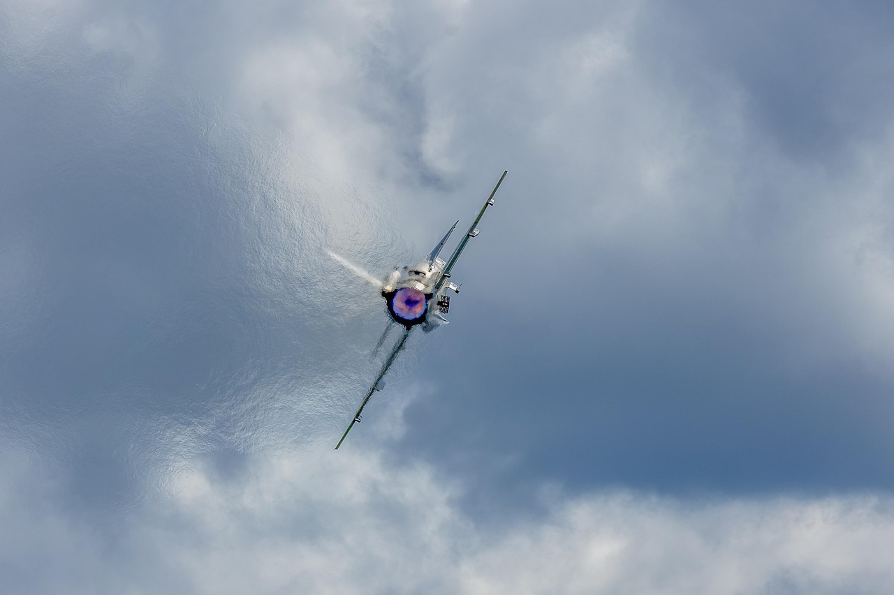 Mond梦都蓝莓：沈阳代理注册的公司