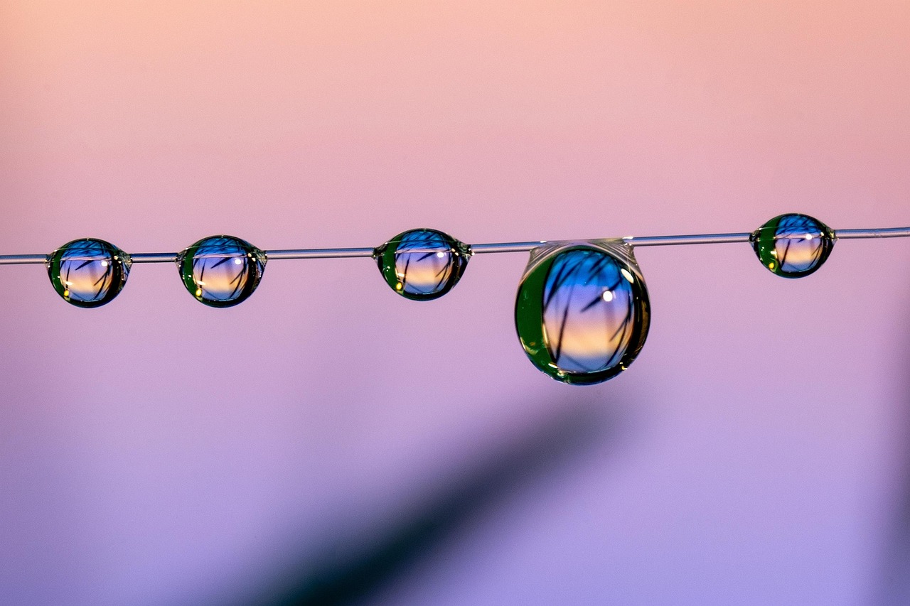 西游女儿国辅助- 香蕉直播平台app详情下载教程