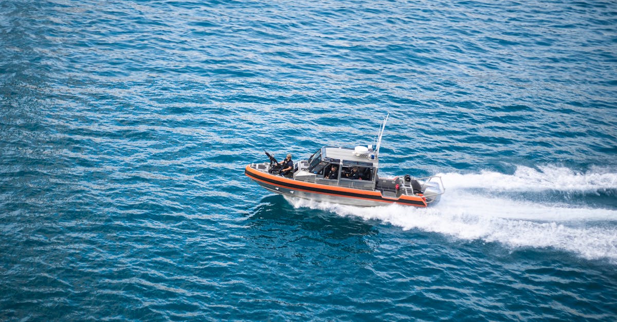 已实名账号：苏州猫猫购买平台