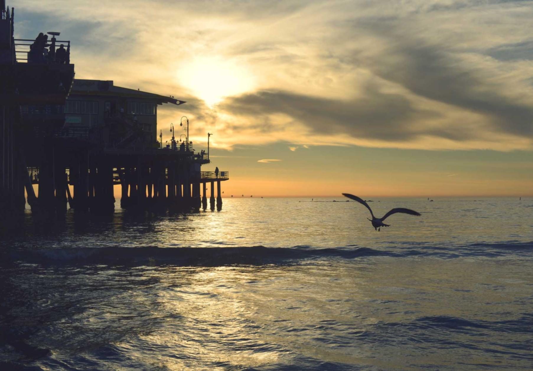 技术支持的危害：对玩家和游戏的影响有多大？